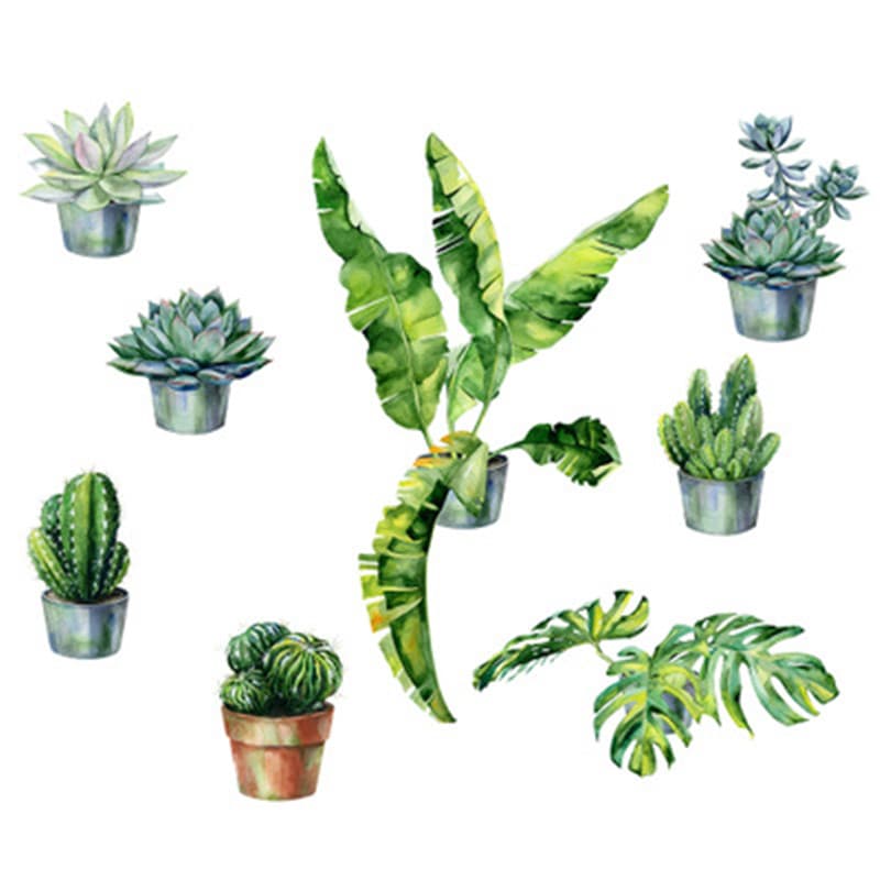 Stickers Muraux Plantes Tropicales (succulentes et cactus)